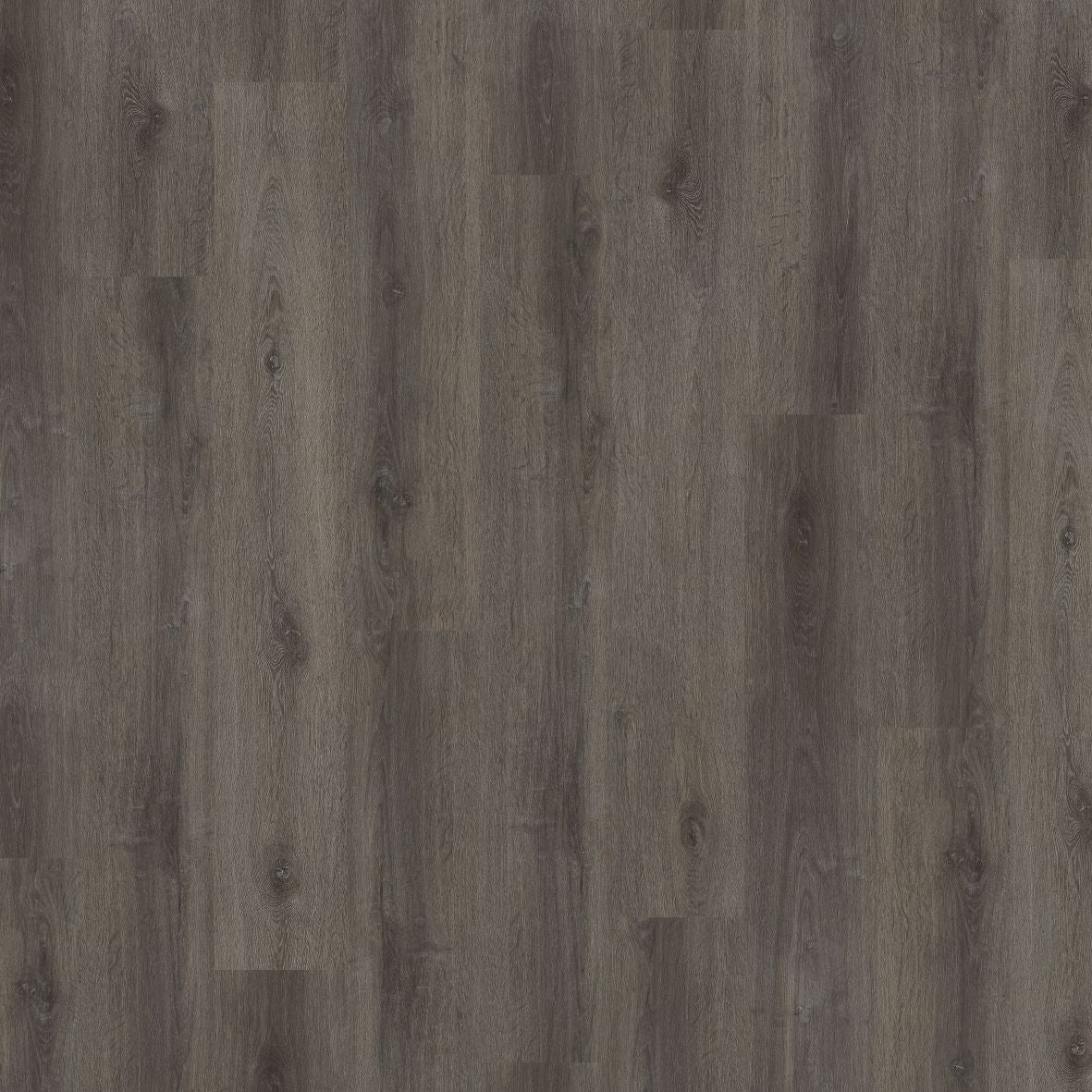 Falcon Planks