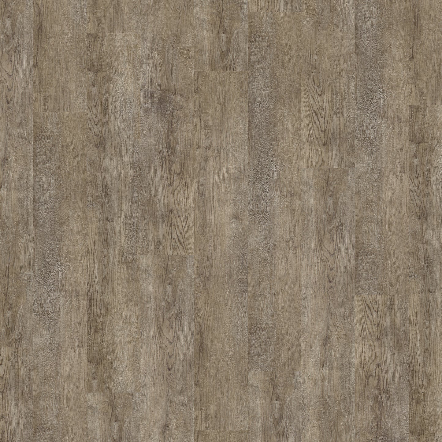 Feather Grey Planks