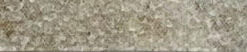 Victoria Design Strip Fossil