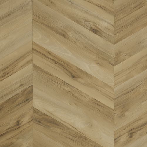 Hardwick Design Fishbone