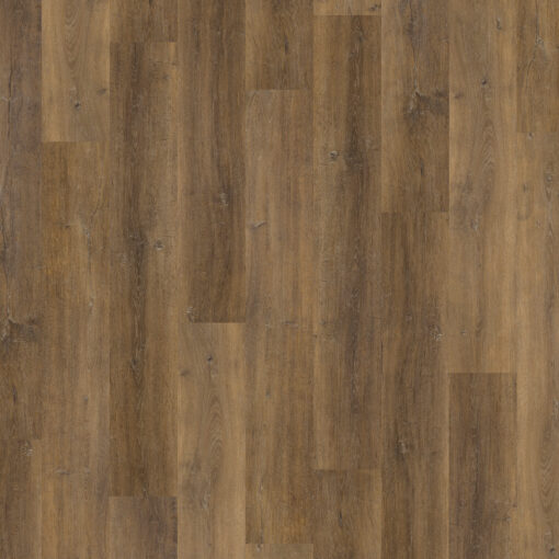 Latte Planks